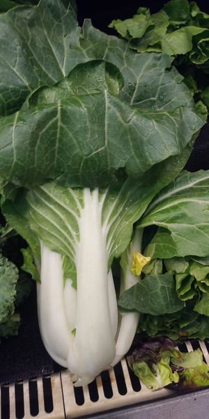  at People's Food Co-op in Portland