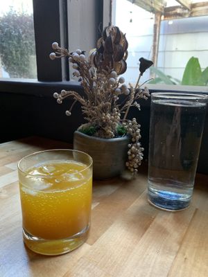 Turkey tail turmeric tonic  at The Haunt in Savannah