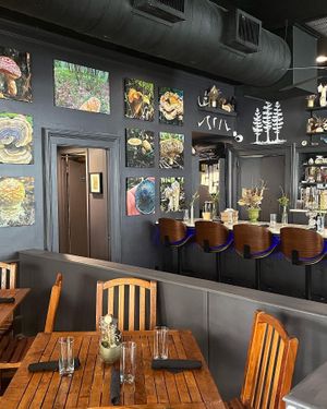   at The Haunt in Savannah