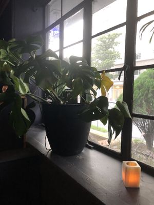 Interior design   at The Haunt in Savannah