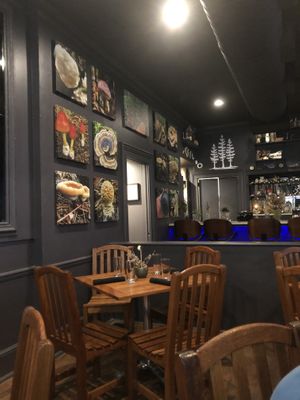 Interior design   at The Haunt in Savannah