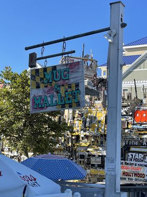   at Mug & Mallet in Ocean City