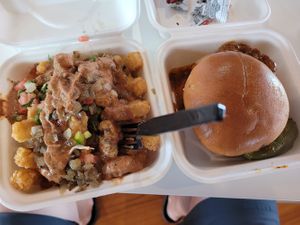 Loaded tots and spicy chicken sammy at Project Pollo in Katy