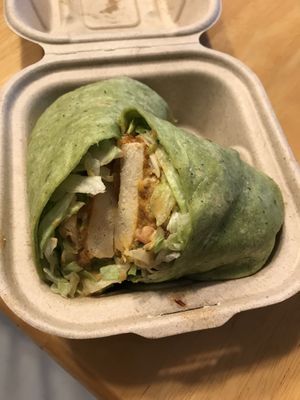 Chipotle wrap  at Project Pollo in Katy
