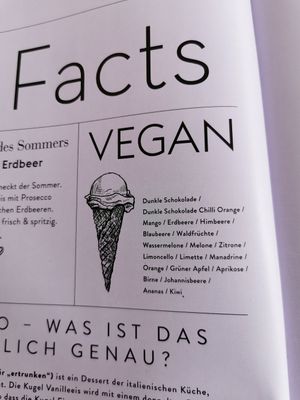 Auswahl Veganer Sorten at Eiscafe al Ponte in Plau Am See