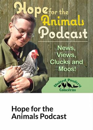 Podcast at Compassionate Living in Santa Rosa