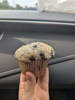 Blueberry lemon muffin at Trufood Cafe in Lions Head