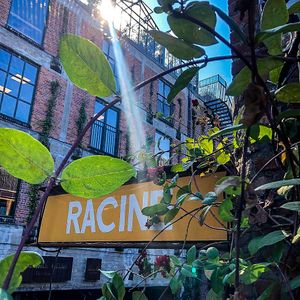 Sun! at Racine PAKT in Antwerpen