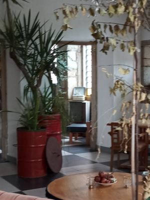 Bar at Mãos de Horta in Castelo Branco