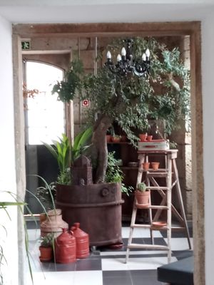 Bar at Mãos de Horta in Castelo Branco