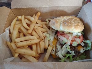 Single cheeseburger with fries at Plant Based Burger Company in Maple Heights