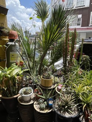 Entrance area of Man Yuan Fang, Melaka  at Man Yuan Fang in Malacca