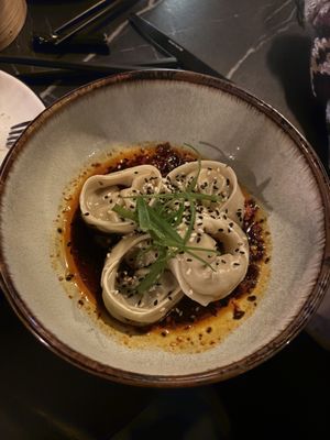 The vegan dumplings! The sauce was so tasty and spicy - perfect.  at Bambu in Haarlem