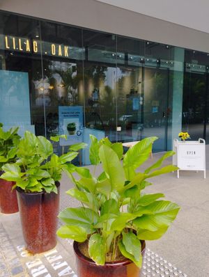 Cafe at Lilac Oak in Central Singapore