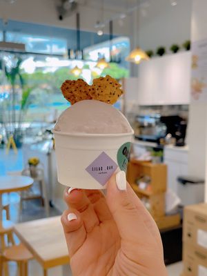   at Lilac Oak in Central Singapore