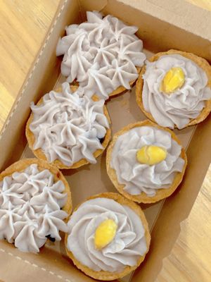   at Lilac Oak in Central Singapore