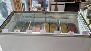 Vegan Gelato at Lilac Oak in Central Singapore