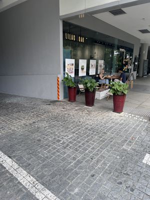  Chilled   at Lilac Oak in Central Singapore