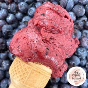 Mirtillo VEGAN at Idem Congelato in Reggiolo