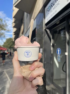 fresa  at Vincis Heladería in Barcelona