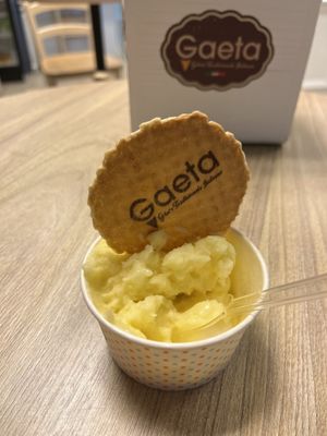   at Gaeta Gelato in Reykjavik