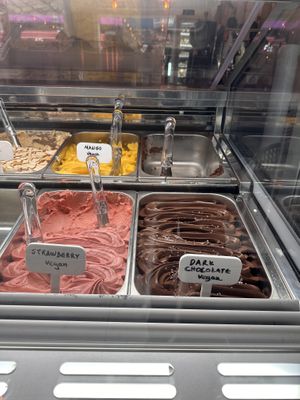   at Gaeta Gelato in Reykjavik