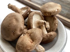 Mushrooms at Pinch Brunch Bar in Seoul