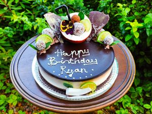 Raw Bounty Celebration Cake at Gabe's Special Cakes in Distington