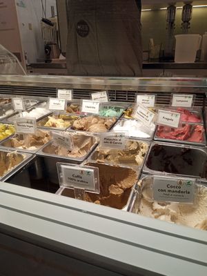 Vegan flavours at Gelati Cortese in Riccione