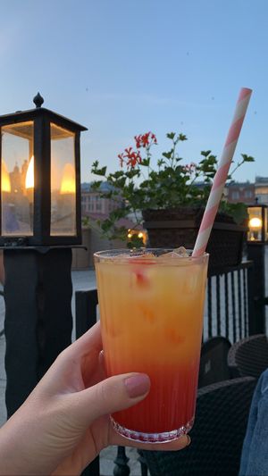Tequila sunrise drink   at N° 7 in Krakow