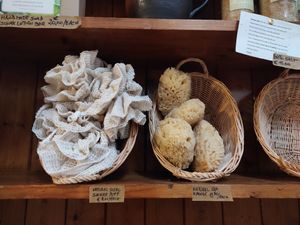 Sponge at EarthWay Refill in Midleton