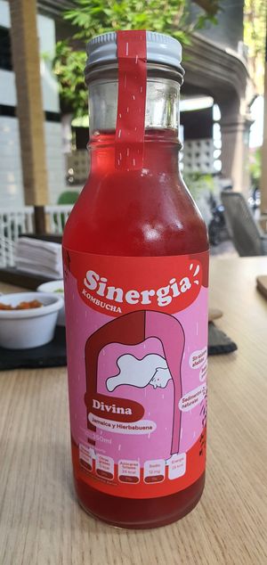 Kombucha roja   at Buena Vida - Plant Based Bar in Queretaro