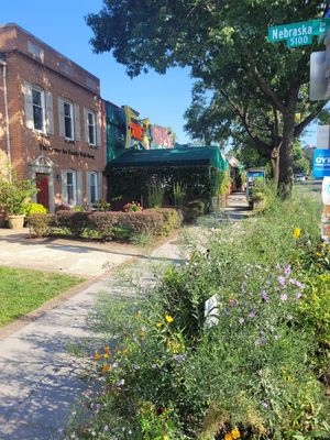 Outside at Comet Ping Pong in Washington