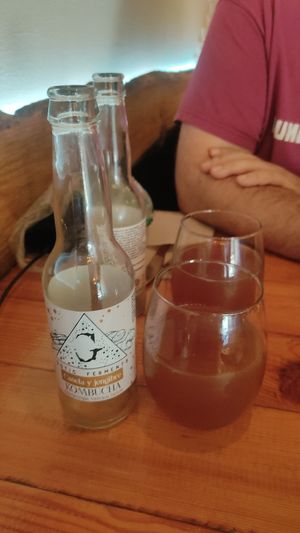 Kombutxa at WALD in Barcelona