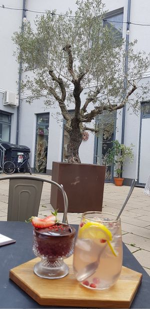 Vegan sweets in the presence of an olive tree. at Kavárna & Bistro Karma in Breclav