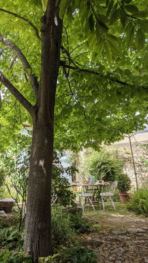 Jardín exterior at La Real in Valladolid