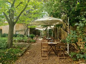 Truly an oasis: outdoor sitting with plenty of birds and butterflies about. at La Real in Valladolid
