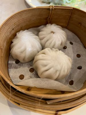   at Full Moon City in The Hague