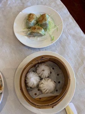   at Full Moon City in The Hague