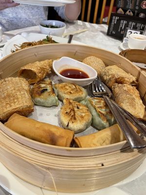   at Full Moon City in The Hague