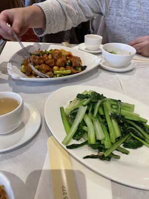   at Full Moon City in The Hague