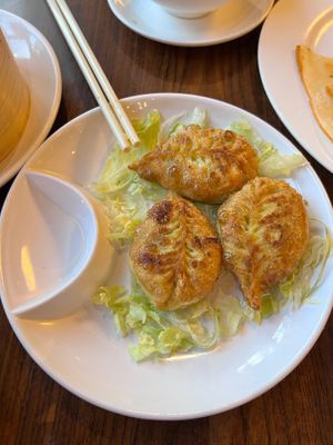 mushroom fried dumplings  #Veganuary at Full Moon City in The Hague