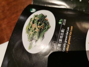  at Full Moon City in The Hague