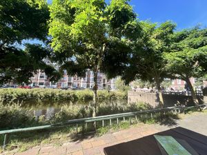   at Café Loft in The Hague