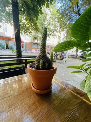   at Ban Vegan in Berlin