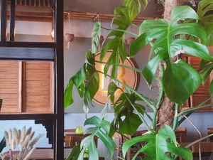  at Ban Vegan in Berlin