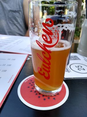 Home brewed beer at Eulchen Brauereiausschank in Mainz