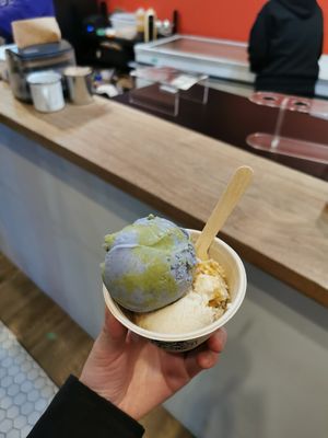 Seasonal vegan ice cream flavors at Moo Shu Ice Cream in Ottawa