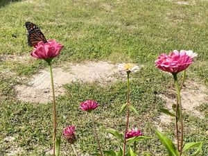 Eat outside if the weather’s good! at Session in Virginia Beach