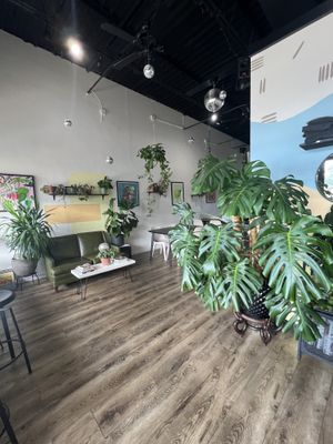   at Session in Virginia Beach